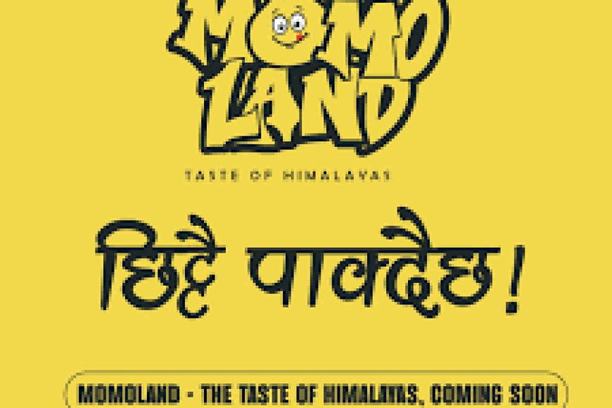 MoMo Land Dhumbarahi